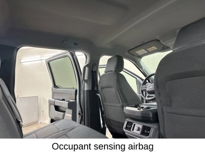 2024 Ford F-150 Lightning Flash