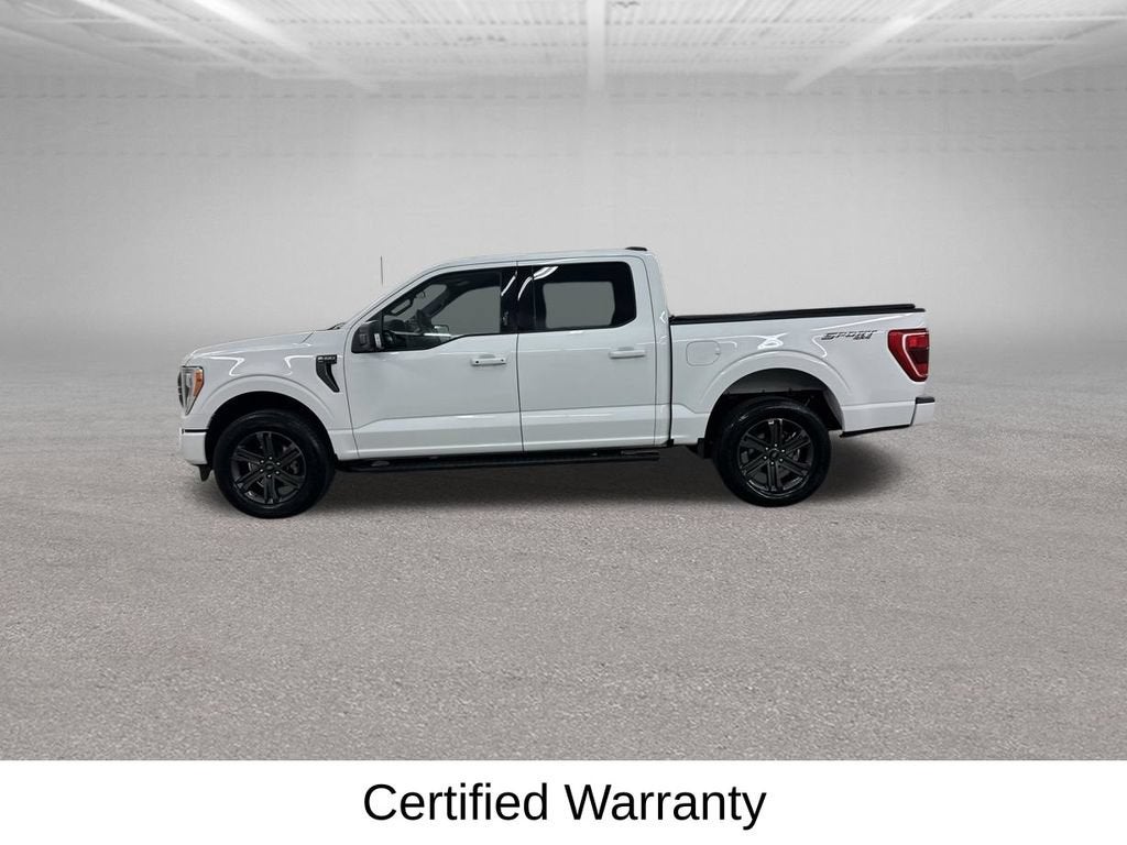 2023 Ford F-150 XL